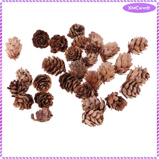 30 x pequeños conos de pino seco natural en flores secas a granel para (1)