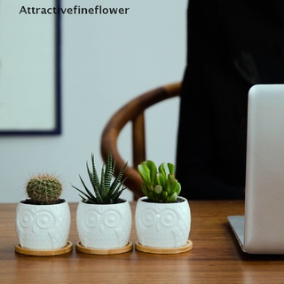 [aff] maceta suculenta mini maceta de cerámica suculenta maceta cactus con drenaje: atractivefineflower (7)