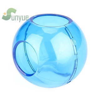 * Carcasa de cristal para nintent Switch Poke Ball Plus controlador (azul) -