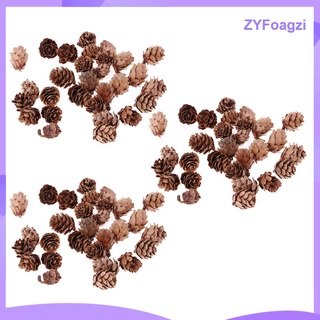 90 Pieces Genuine Natural Pine Cones Birthday Gifts,