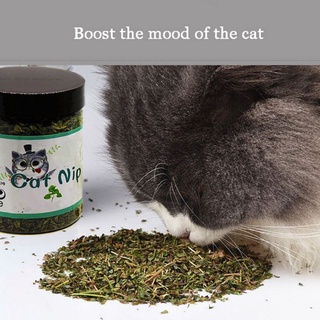 goljswc catnip gato hierba seca hoja pura divertido gatos juguete mascota seguro relleno aperitivos suplemento vitamínico (4)