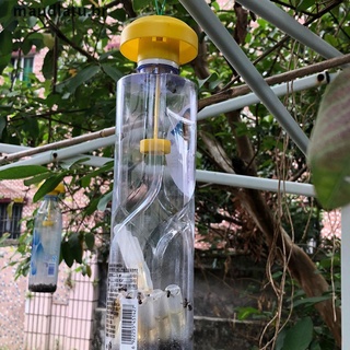1xfruit Fly Trap Killer De Plástico Drosophila trampa atrapa moscas Control De plagas.