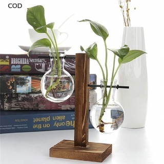 [cod] maceta hidropónica vintage con marco de madera para decoración del hogar bonsai caliente
