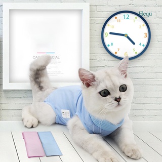 Hequ After Surgey Wear Clothes E-Collar Alternative Recovery Suit For Cats & Dogs