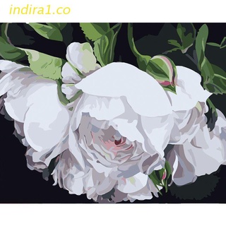 indira1 blanco floret paint by number kits 16 x 20 pulgadas lienzo diy o il pintura para niños, estudiantes, adultos principiantes con pinceles y pigmento acrílico (sin marco)