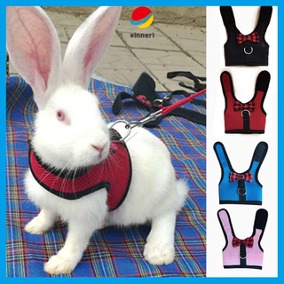 Pet Mesh Soft Harness With Leash Small Animal Vest for Hamster Rabbit Bunny
