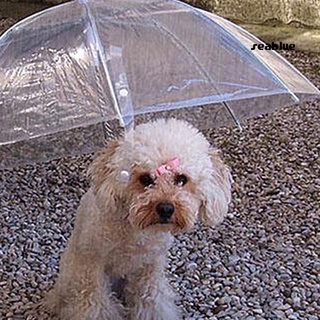 [se]perro Caminar impermeable cubierta transparente incorporada correa de lluvia de agua de nieve paraguas para mascotas (4)