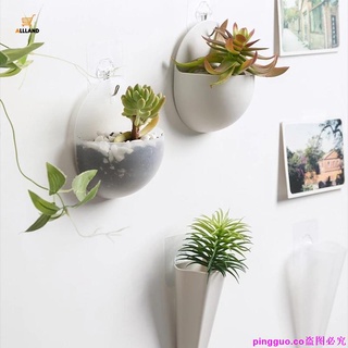 Mini macetas de plástico de estilo nórdico/suculentas hidropónicas/soporte de plantas suculentas de pared con gancho (1)