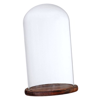 tarro decorativo de cristal cloche campana domo con base de madera display decor_brown a