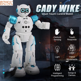 Control Remoto Inteligente Robot , Detección De Gestos Programación , Baile Cantando Caminar RC Juguete BRISK