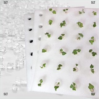 <SLT> Hydroponic Vegetable Floating Board Soilless Cultivation Equipment Foam Board