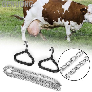 Genuong Cow Midwifery Tool Professional Stainless Steel Dystocia Delivery Anti-rust Efficient with 2 Hooks a Chain for Dairy