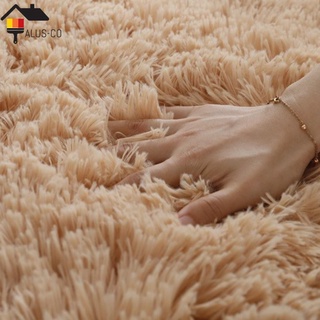 Fluffy Carpet Anti-slip Soft Carpet Mat Floor Living Room Blanket (9)