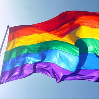 bandera arco iris colorido lgbt mano bandera gay orgullo 1pc accesorios decoración