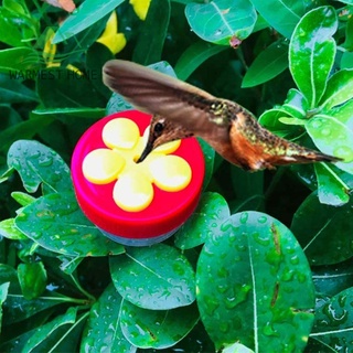 （Formyhome) Mini Bird Seed Food Container Handheld Hummingbird Feeder with Suction Cup Brush