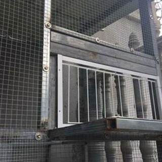 Idndeo paloma puerta de alambre barras marco entrada atrapa Loft suministros carreras aves captura (7)
