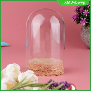 10x mini cúpula de cristal decorativa cloche campana tarro expositor caso con base de madera (6)