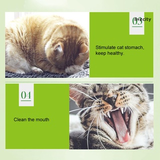 5 g/paquete de aromatizador de limpieza natural para gatos/gatos/gatos/mascotas (9)