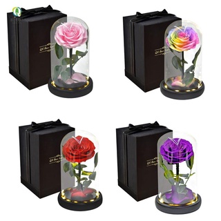 forever conservado flor en vidrio cúpula lámpara para caja de regalo, rosa (1)