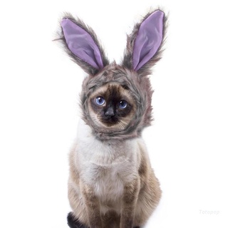 Top gato sombrero gato divertido conejo sombrero gato vacaciones decoración tocado lindo Cosplay disfraz cómodo moda seguridad salud