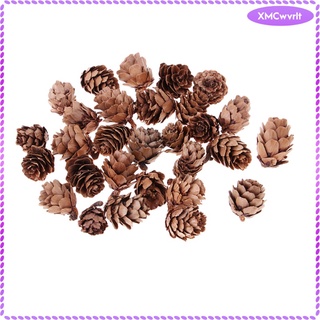 30 x pequeños conos de pino seco natural en flores secas a granel para (3)