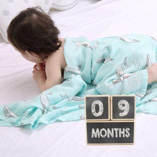 JE Baby Age Blocks Wooden Milestone Moments Photo Blocks Baby Room Decoration for Newborn Gifts