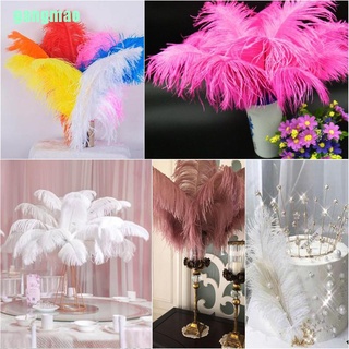 【mao】20 Pcs Ostrich Feathers Real Natural Ostrich 10-12inch(25-30cm) Feathers Plume