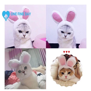 Sombrero de gato lindo conejito Crossover sombrero de conejo de pascua orejas de conejo orejas mascota T6E0