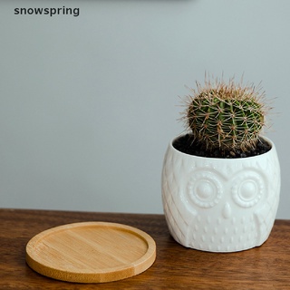 snowspring suculenta maceta mini cerámica suculenta maceta cactus maceta con drenaje co (5)