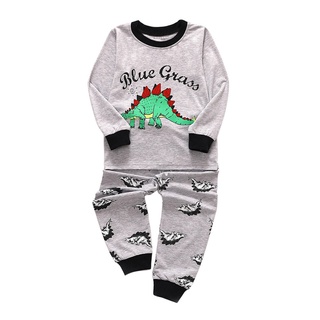 Toddler Kids Baby Boys Girls Pajamas Cartoon Dinosaur Tops Pants Outfits Set
