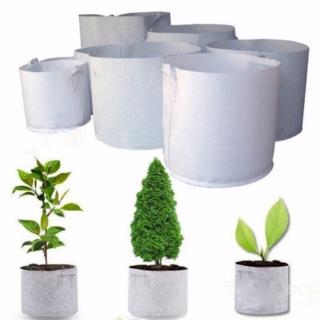 Root Control Bag / Fabric Planting Green Grow Bags / Root Container / Plant Pouch White Pots / Thicken Garden Planting Bags