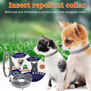 [Lamourni] elimina pulgas y garrapatas Collar perros gatos hasta 8 meses Collar de garrapata de pulgas