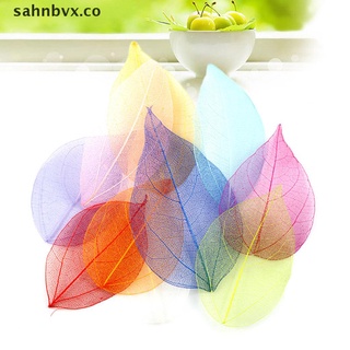 sah 50 pzs hojas secas naturales hojas secas decoración para manualidades artesanales. (1)