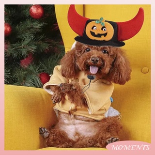 creativo nuevo sombrero divertido mascota perro halloween navidad tocado gato wacky headgear momentos
