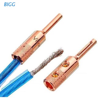 BIGG 4 Pack Banana Plugs Connectors for Speaker Wire Musical Audio Speaker Cable Wire