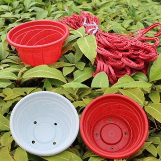 mcbeath 1pc cesta colgante de plástico decoración de jardín maceta cadena balcón clorofila redondo durable macetas del hogar/multicolor (5)