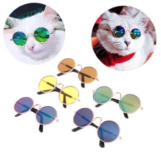 Ma lentes de sol para mascotas/gatos/gatos/gatos pequeños/lentes de sol/fotos/accesorios/decoración (6)