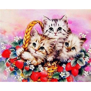 diy fresa gatos pintado a mano pintura por números kit lienzo dibujo al óleo