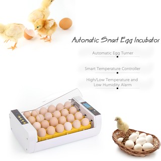 24-huevos inteligente automático incubadora de huevos Control de temperatura Hatcher