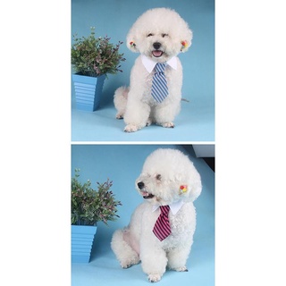 Mascotas perro gato rayas pajarita Collar guapo cuello ajustable corbata Collar