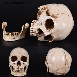 Supertoys Modelo De Resina Anatomica De cráneo Humano Replica Médica talla De Esqueleto De Moda Dws