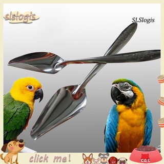 SN_1Pc Durable Metal Pet Bird Parrot Feeding Food Milk Powder Spoon Accessory Tool