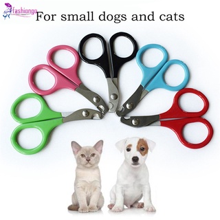 mini tijeras para mascotas cortaúñas de acero inoxidable para perros pequeños y gatos (1)