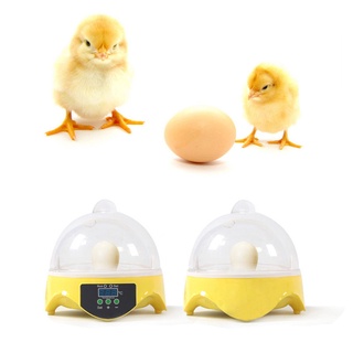 7 incubadora de huevos transparente digital para incubadora de control de temperatura
