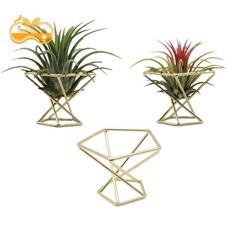 3 piezas geométricas de aire para plantas de aire, plantas de Metal, soporte para plantas de Metal, Shees Himmeli, decoración Tillandsia
