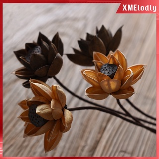 30 piezas de vaina de loto seca real decorativa para jarrón de semillas de loto, decoración de relleno