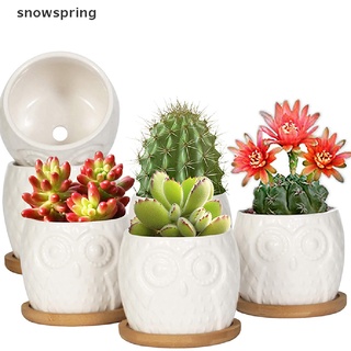 snowspring suculenta maceta mini cerámica suculenta maceta cactus maceta con drenaje co