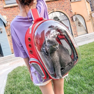 bolsa de transporte transpirable para mascotas, perro, viaje al aire libre, mochila de mascotas