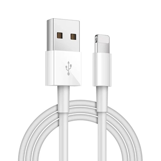 Cable de datos de carga rápida 2A USB a USB a Lightning Universal IOS Cable cargador Cable para iPad iPhone m 1m 2m 3m línea