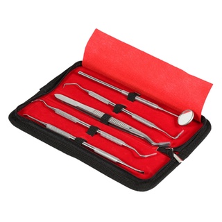 5 Pieces Set Stainless Steel Dentist Care Cleaning Teeth Whitening Floss Hygiene Kit Plaque Remover Set Dentist Pick Tools Mirror Tweezers